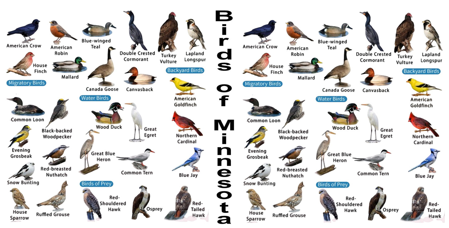 Birds of Minnesota 15oz Mug