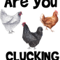 Are you clucking image 0