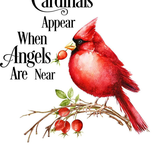 Cardinals Appear when Angels are Near image 0
