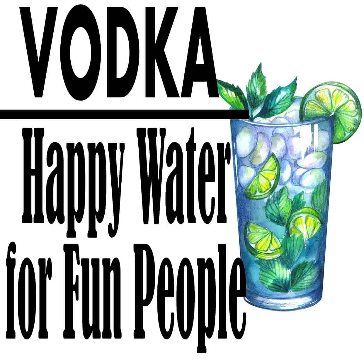 Vodka Happy Water image 0