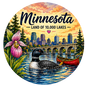 Car Coaster Minnesota Land of 10,000 Lakes