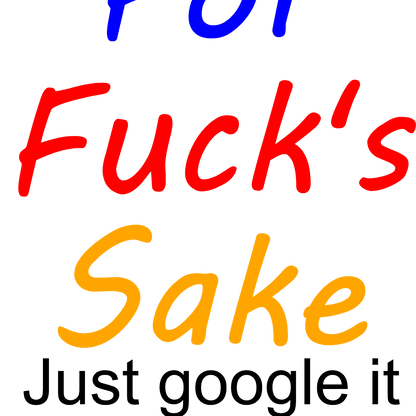 For F Sake Just Google It image 0