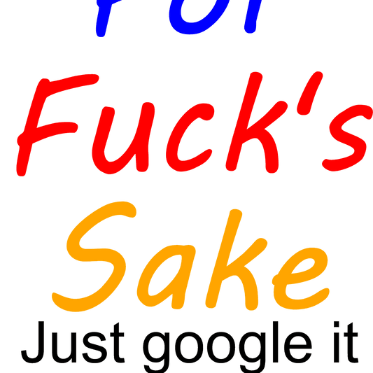 For F Sake Just Google It image 0