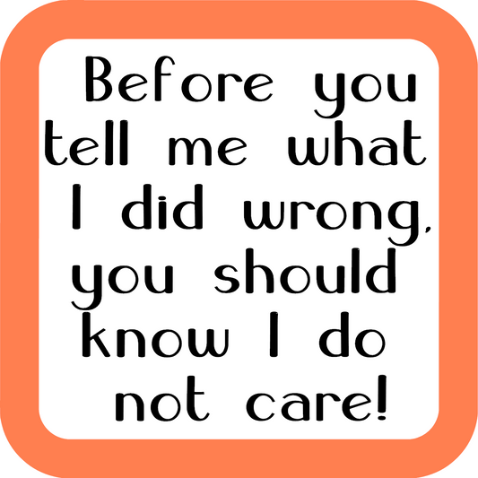Before You Tell Me What I Did Wrong Coaster