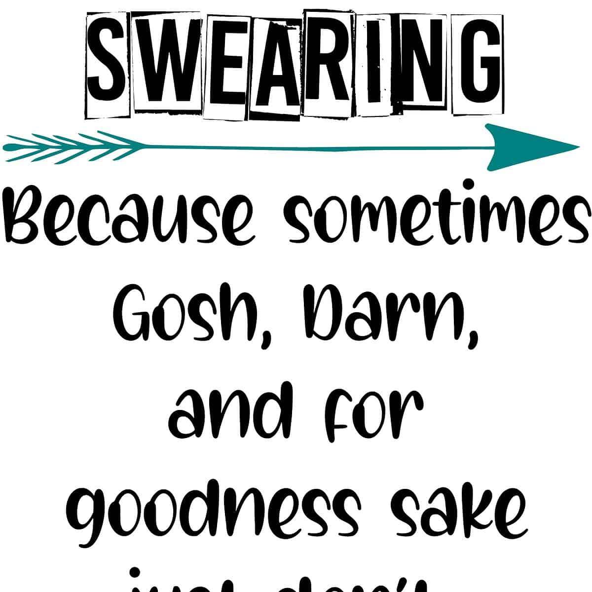 Because Gosh Darn image 0