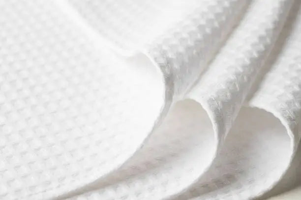 Duck Duck Gray Duck Minnesota image 1