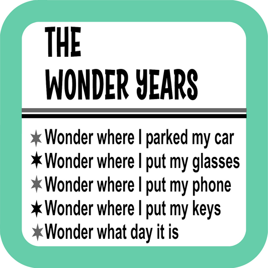 The Wonder Years Coaster