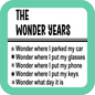 The Wonder Years Coaster